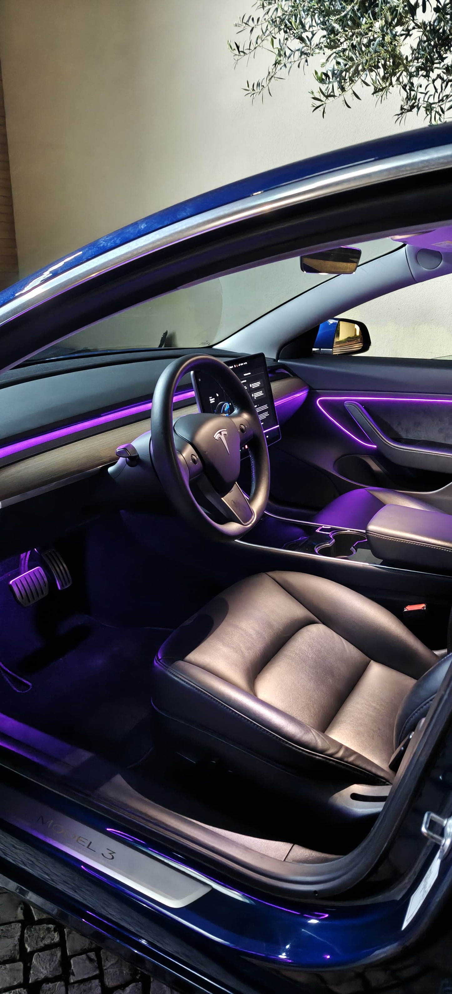 Ambient light Tesla Model 3 (2019-2024)