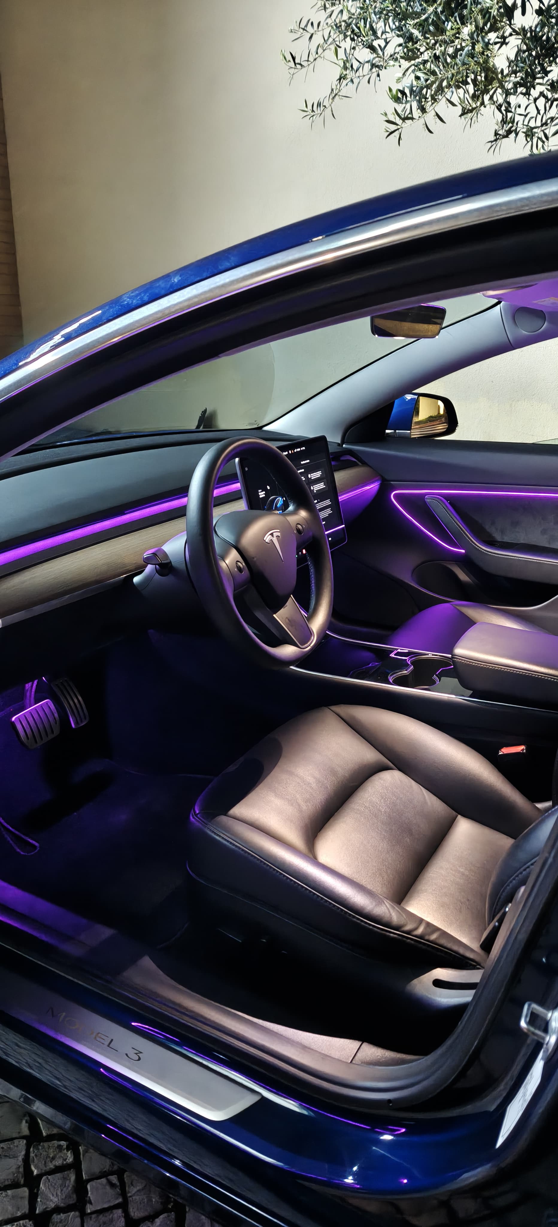 Ambient light Tesla Model 3 (2019-2024)
